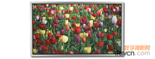 DNP第二代高增益Supernova™ 23-23屏幕