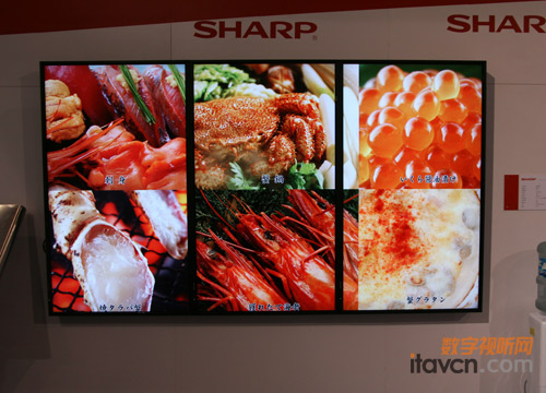 �����¿�I(y��)�@ʾ��PN-E601