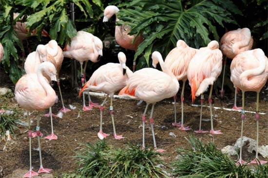 ���󹫈@-��ɫ�����B