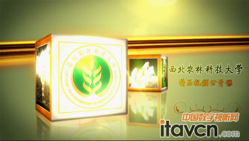 AVA��Ʒҕ�l���_�n