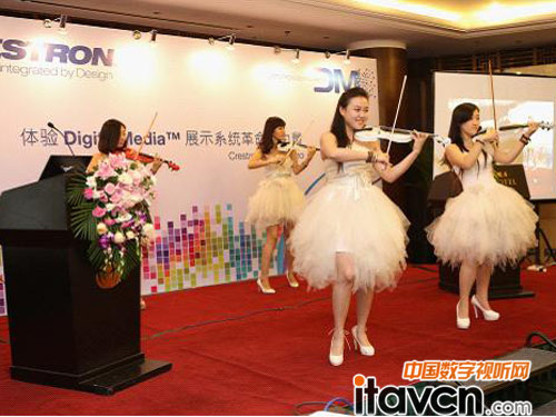 精彩的動感提琴表演