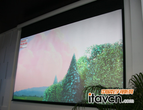 �A����DNPչʾ���ͶӰĻ