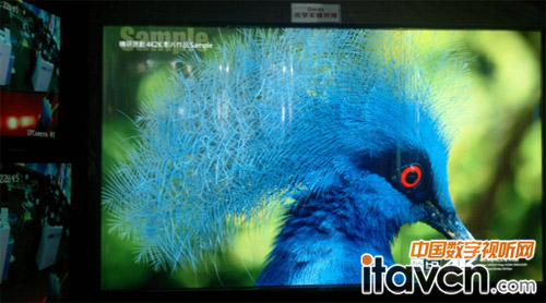 ���Sҕ�y��һ��PSL��W�o�pƴ�ӮaƷ�����ʮ�Č����ڰ�����