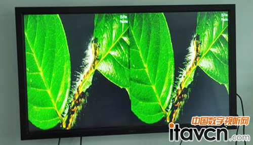 ��Evis���g̎��������ҕ�D4K�D�񣬺ϳɺ󌍬F�������w�С��������ȡ������ȡ��ɫ�r�G���@ʾЧ��