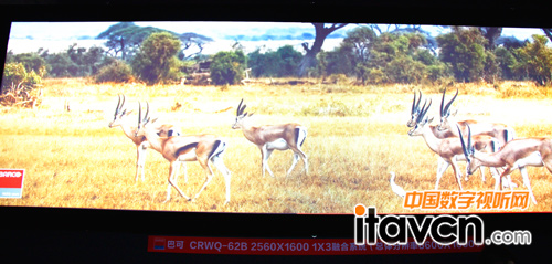 巴可CRWQ-62B整合系統