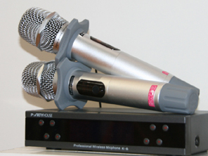 PALMչ�Ɍ�������ҕ�Xʢ�� �˚ⱬ��