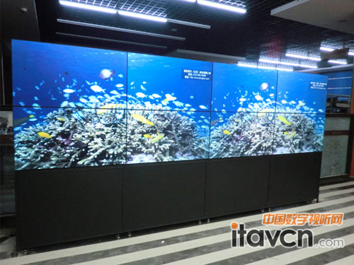 2X4LCDҺ��ƴ��