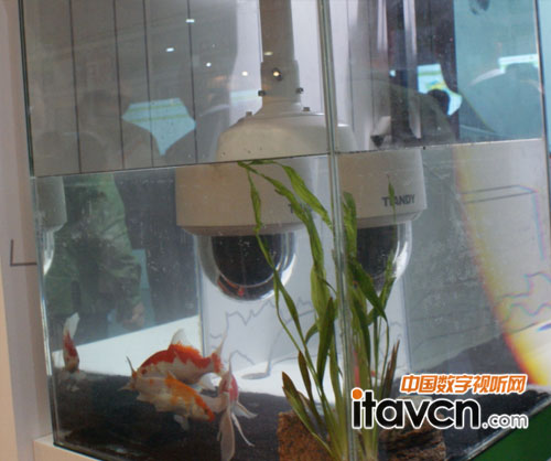 智能高清球防水效果現(xiàn)場演示