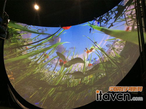 ��ҕ��7th Sense��Alcorn��Extron�����|���Ƽ��^�w��ӰԺ