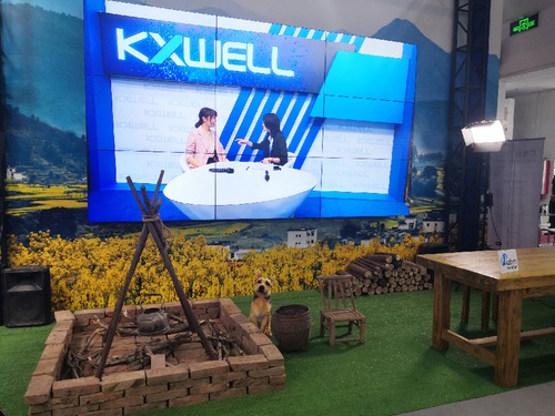 �������������Ĕz