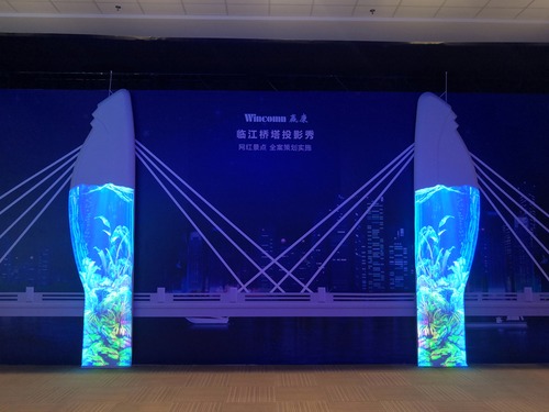 ����ͶӰ��