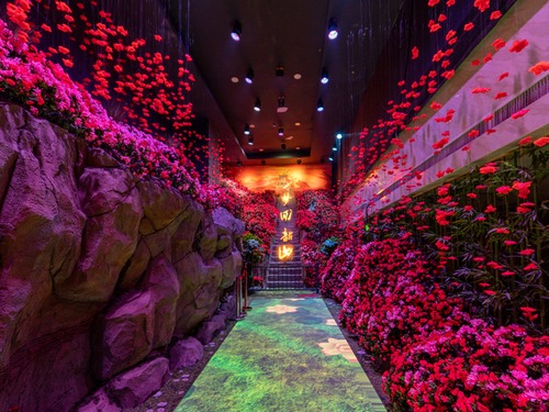 ��������ɽ��