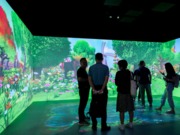 �F��������һ��