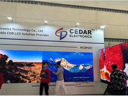 չ���F����51��