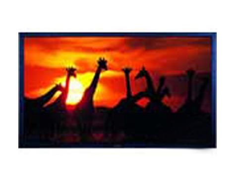 [��ҕ]��ͥӰԺ-����Ļ(