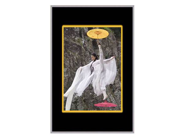 ��˼��XSY-L901