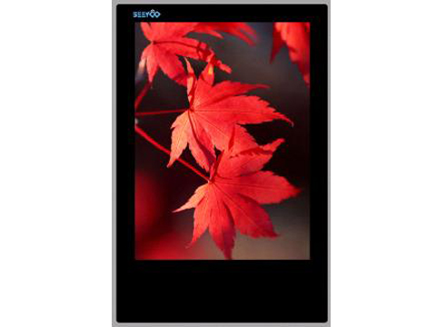 ����ӍSY2008