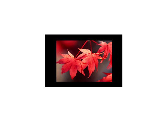 �Wҕ�A��BLDAD_15_01b�V��C