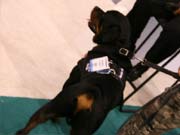 ��Ȯ��ꇬF(xi��n)������