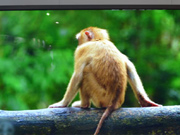 清投攜多款差異化產(chǎn)品閃耀2014安博會(huì)