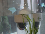 天地偉業(yè)新品新技術(shù)重磅亮相北京安博會(huì)