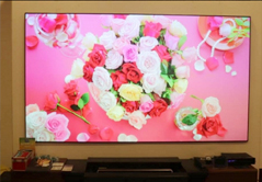 海信激光電視100L7獲最佳畫(huà)質(zhì)表現(xiàn)獎(jiǎng)