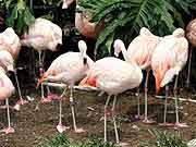 ���󹫈@-��ɫ�����B