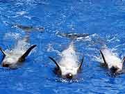 ���󹫈@-�����L�~������ 